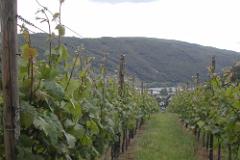 Mosel335
