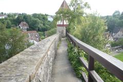 2016 Neckarsteig 00505