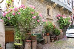 2016 Neckarsteig 00605