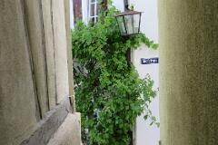 2016 Neckarsteig 00640