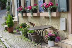 2016 Neckarsteig 00715