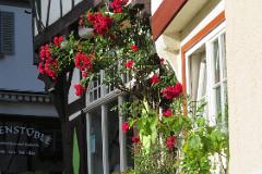 2016 Neckarsteig 00755