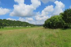 2016 Neckarsteig 00945