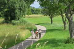 2016 Neckarsteig 00955