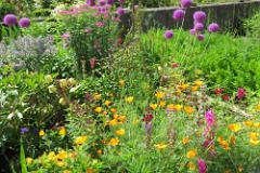 2016 Neckarsteig 01015