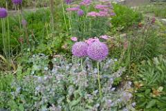 2016 Neckarsteig 01025