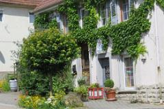 2016 Neckarsteig 01045