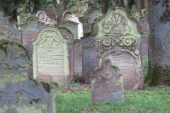 2016 Neckarsteig 01185