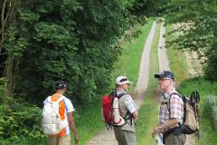 2016 Neckarsteig 01205