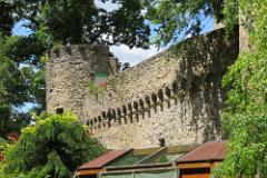 2016 Neckarsteig 01385