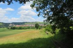 2016 Neckarsteig 01425