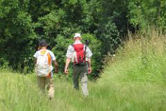 2016 Neckarsteig 01455