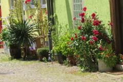 2016 Neckarsteig 01605