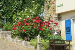 2016 Neckarsteig 01625