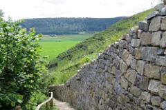 2016 Neckarsteig 01665