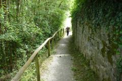 2016 Neckarsteig 01685