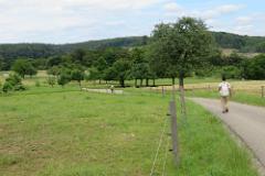 2016 Neckarsteig 01765