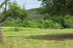 2016 Neckarsteig 01775