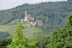 2016 Neckarsteig 01785