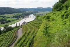 2016 Neckarsteig 01865