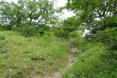 2016 Neckarsteig 02345