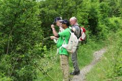 2016 Neckarsteig 02445