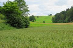 2016 Neckarsteig 02575