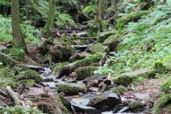 2016 Neckarsteig 02625