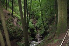 2016 Neckarsteig 02695