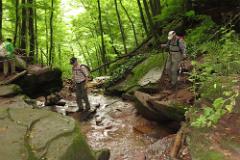 2016 Neckarsteig 02735