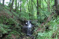 2016 Neckarsteig 02745