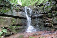 2016 Neckarsteig 02755