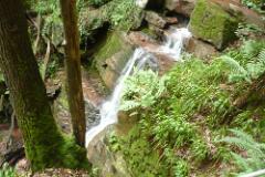 2016 Neckarsteig 02775