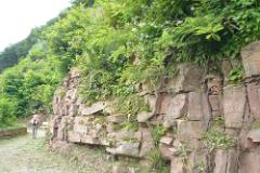 2016 Neckarsteig 02825