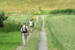 2016 Neckarsteig 02995