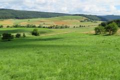 2016 Neckarsteig 03045