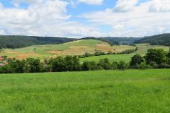 2016 Neckarsteig 03115