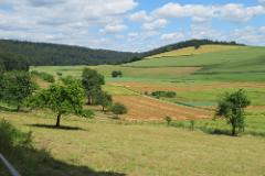 2016 Neckarsteig 03445