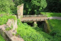 2016 Neckarsteig 03495