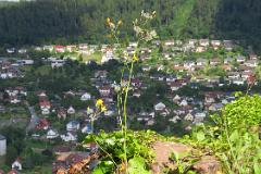 2016 Neckarsteig 03555