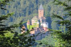 2016 Neckarsteig 03645