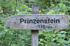 2016 Neckarsteig 03655