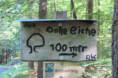 2016 Neckarsteig 03675