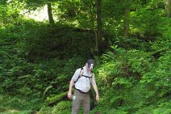 2016 Neckarsteig 03815