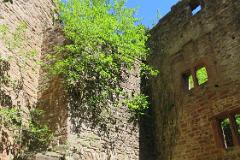 2016 Neckarsteig 03855