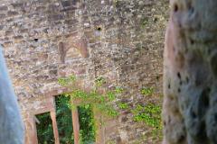 2016 Neckarsteig 03895