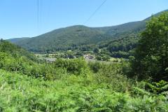 2016 Neckarsteig 03985