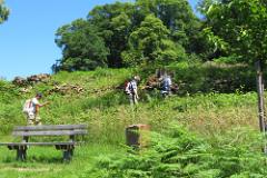 2016 Neckarsteig 04105