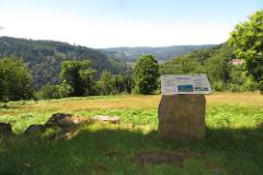 2016 Neckarsteig 04125