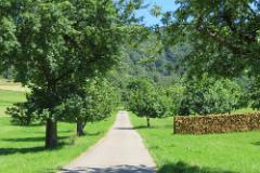 2016 Neckarsteig 04165